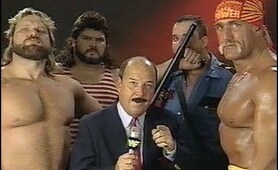 WWF Wrestling November 1990